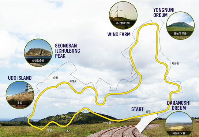 Jeju Rail Bike Ticket - Trazy, Korea's #1 Travel Shop